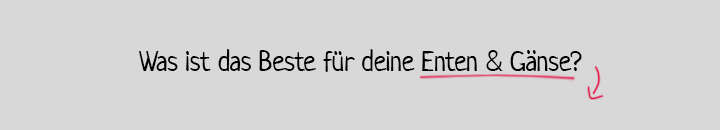 enten enten